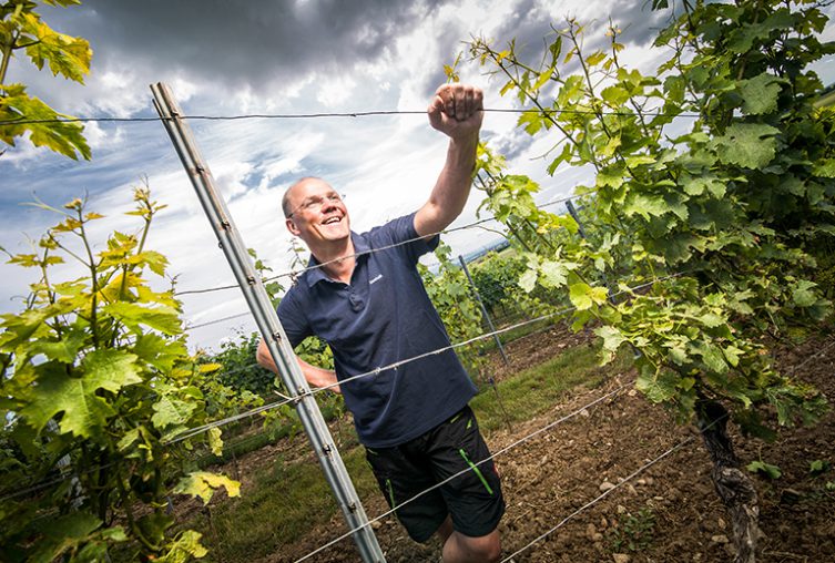 ciesterzienser-weingut