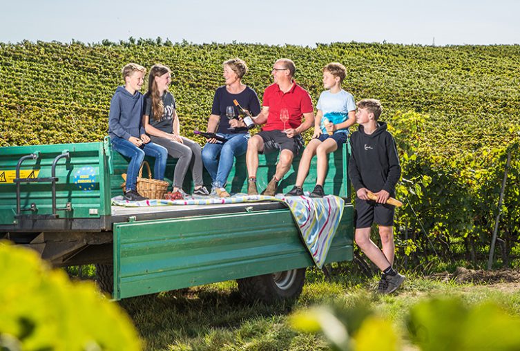 ciesterzienser-weingut